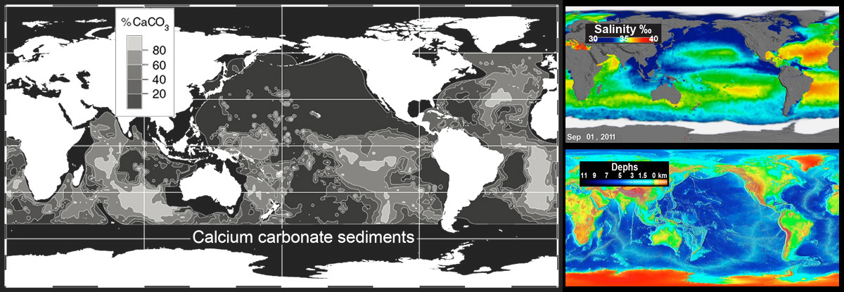  

Karte der Kalzium-Karbonat-Sedimente in den Ozean.
Karten Salzgehalt und Tiefe. SALTCOM.ORG

