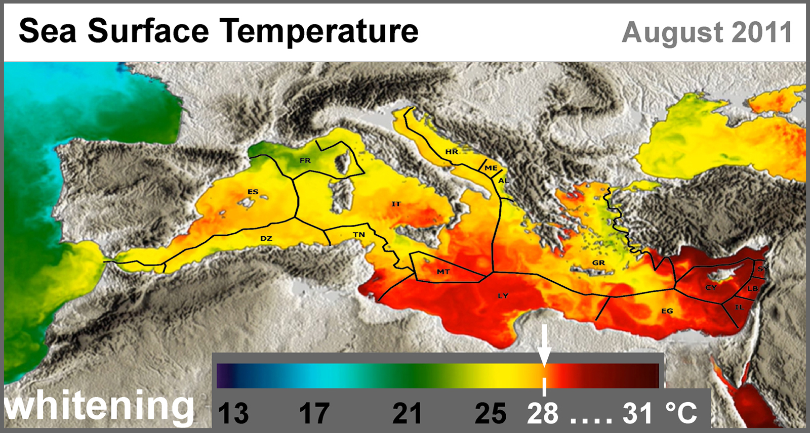 Sea Surface Temperature Mediterranean