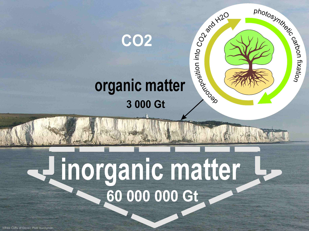 Carbon in the organic and inorganic matters.
SALTCOM.ORG

 
