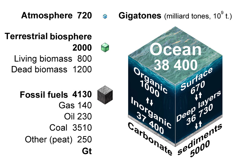 Size carbon reservoirs